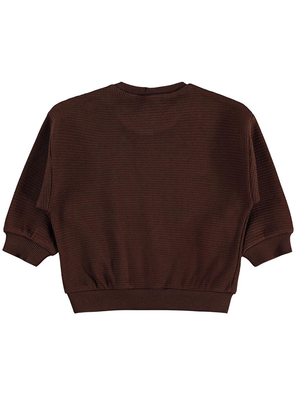 Baby Cute Tiger Etiketli 6-18 Ay Sweatshirt - Kahverengi 6-9 Ay-1