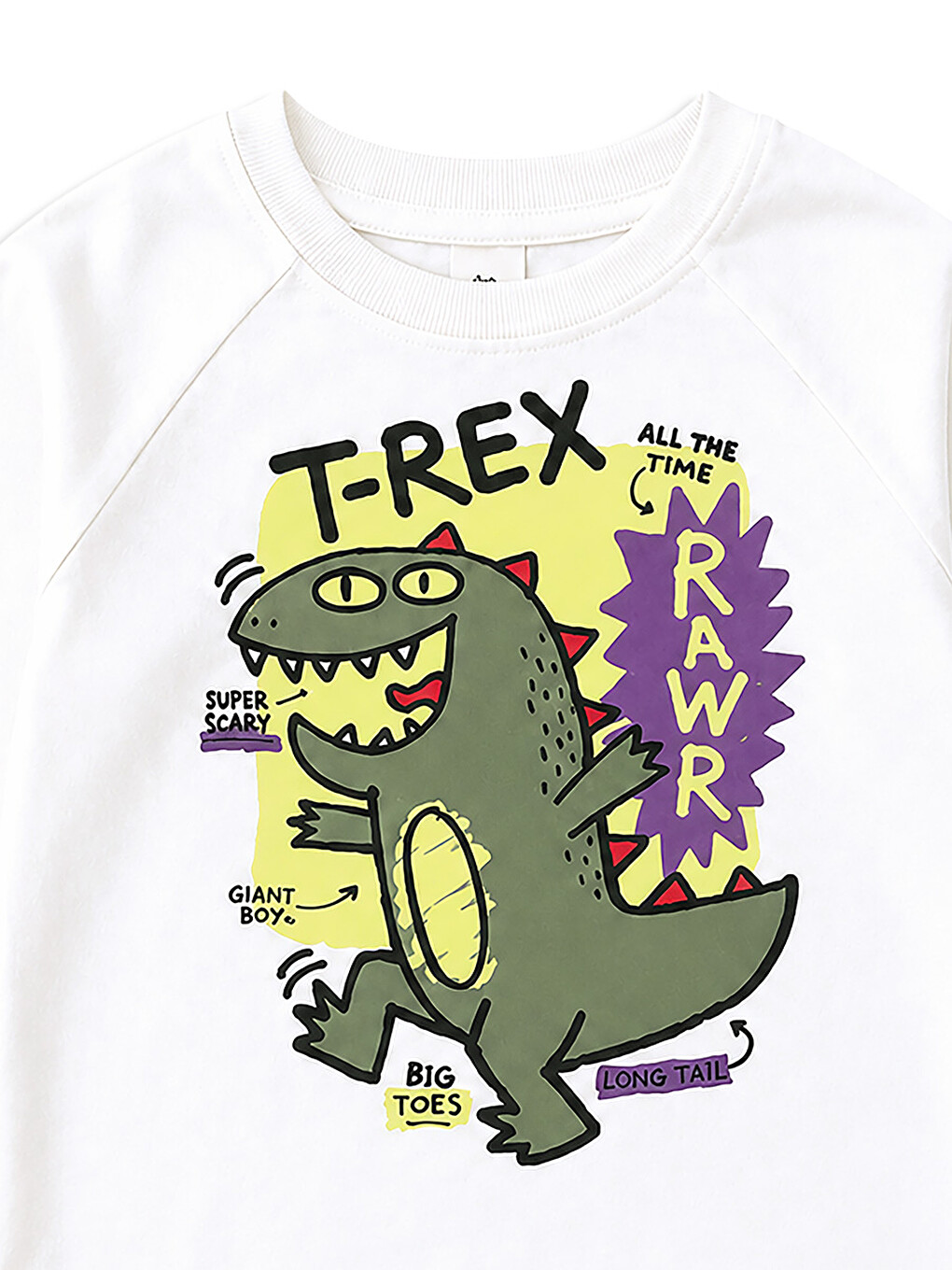 Haki Erkek Çocuk Takım Dinozor Baskılı %100 Pamuk T-shirt Ve Pantolon (3-8 Yaş)-5