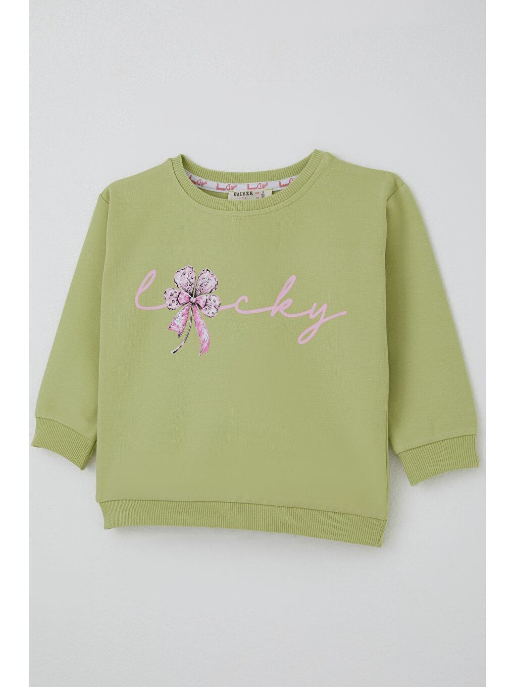 Kız Çocuk Sweatshirt Fiyonklu Çiçek Baskılı Fıstık Yeşili (2-6 Yaş)-3