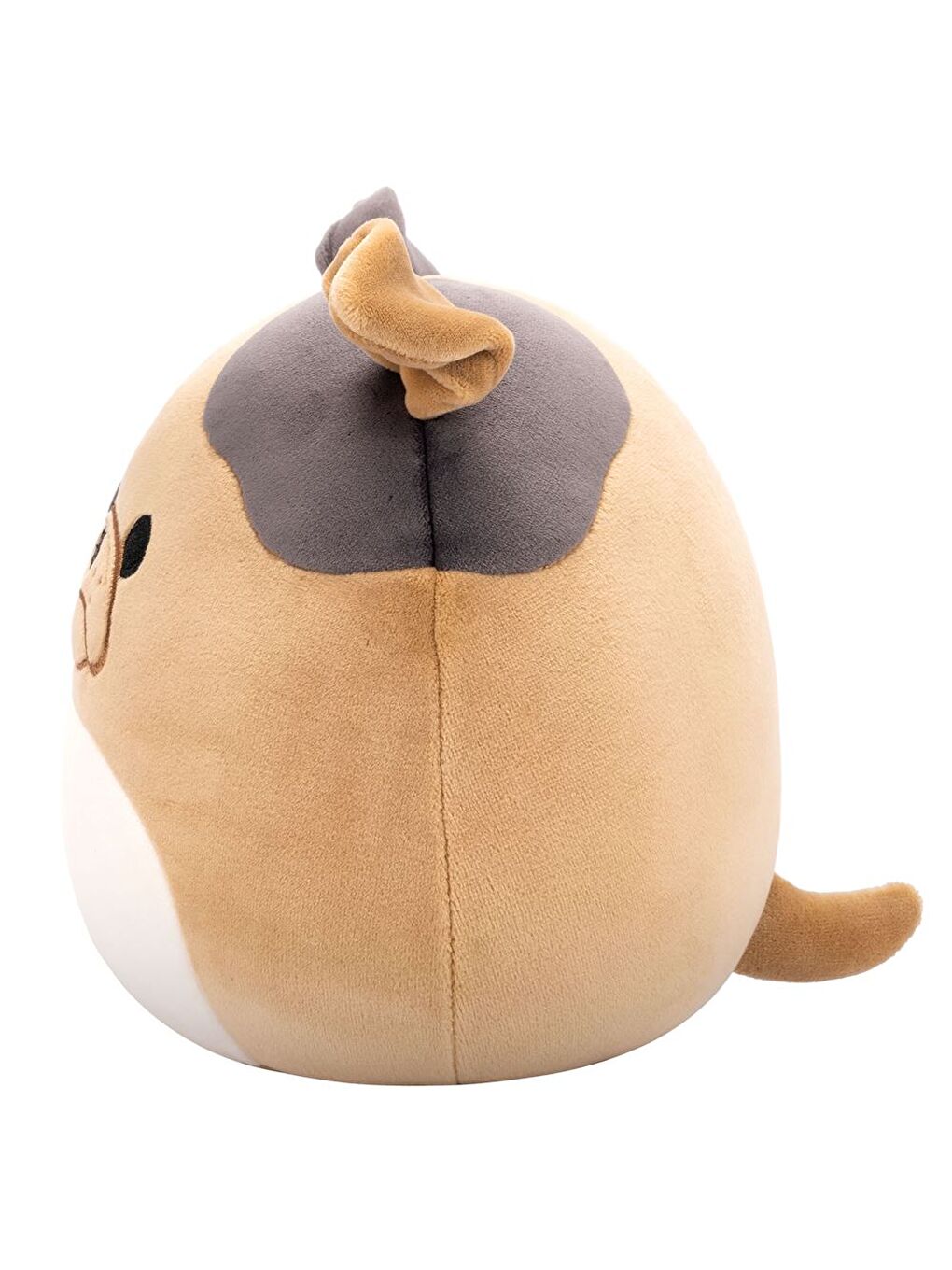 Bulldog Loafer 20cm SQCR06596-2