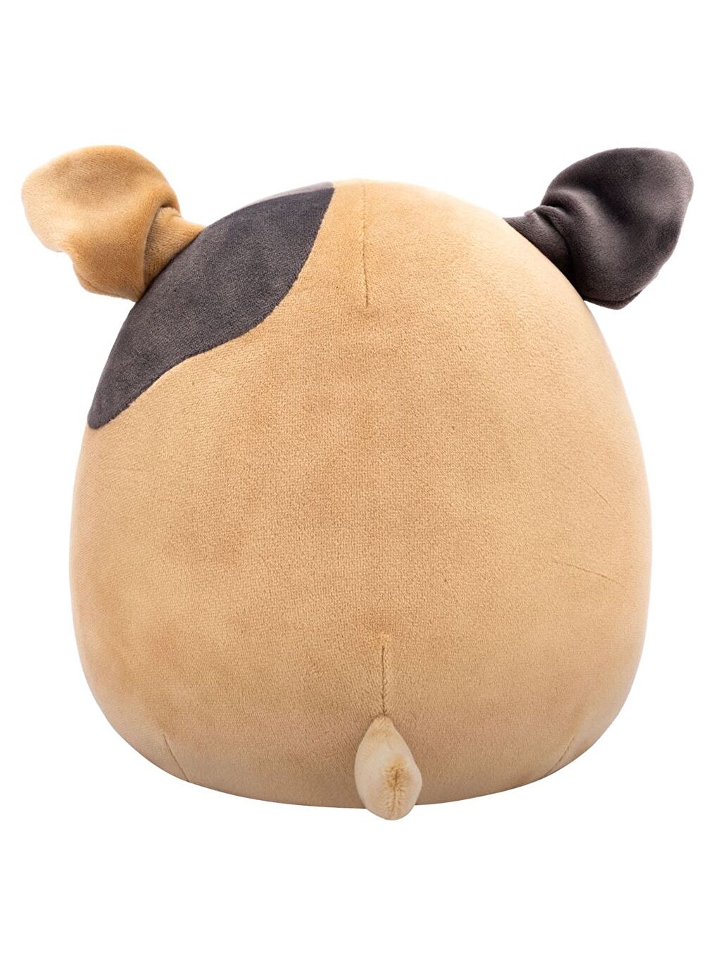 Bulldog Loafer 20cm SQCR06596-3