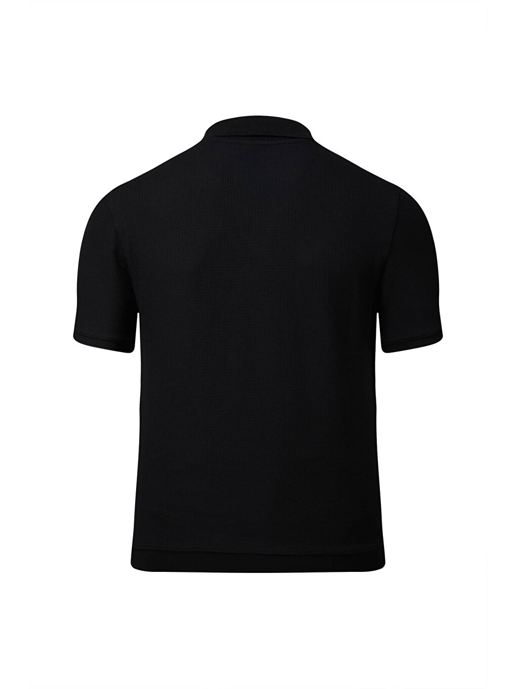 Siyah Regular Fit Polo Yaka Pamuklu Tişört-2