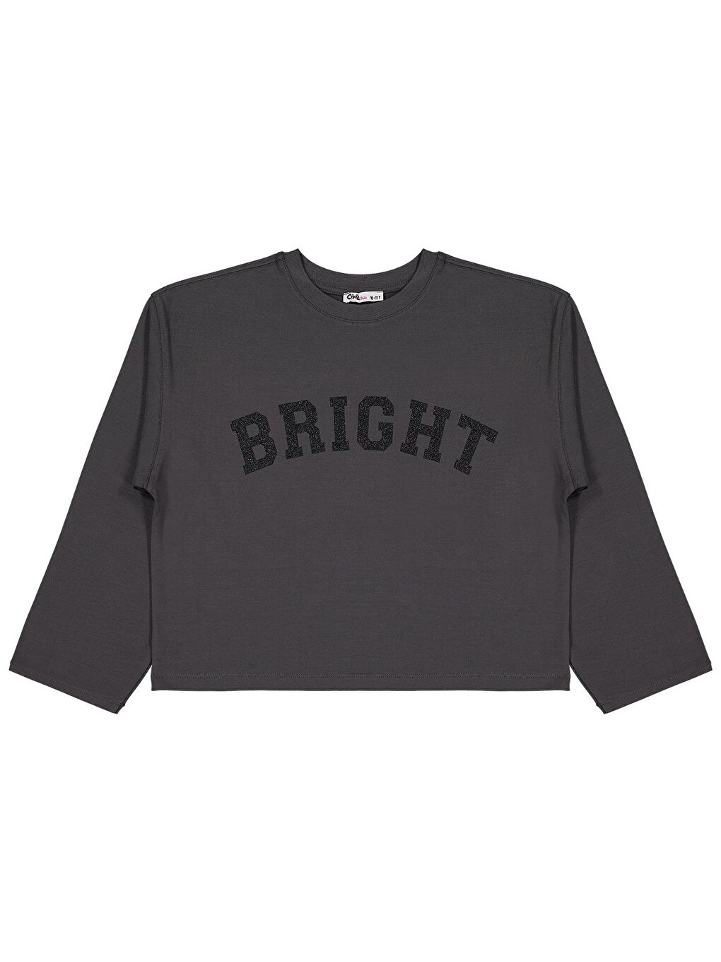 Antrasit Girls Bright Baskılı 10-13 Yaş Sweatshirt - Gri