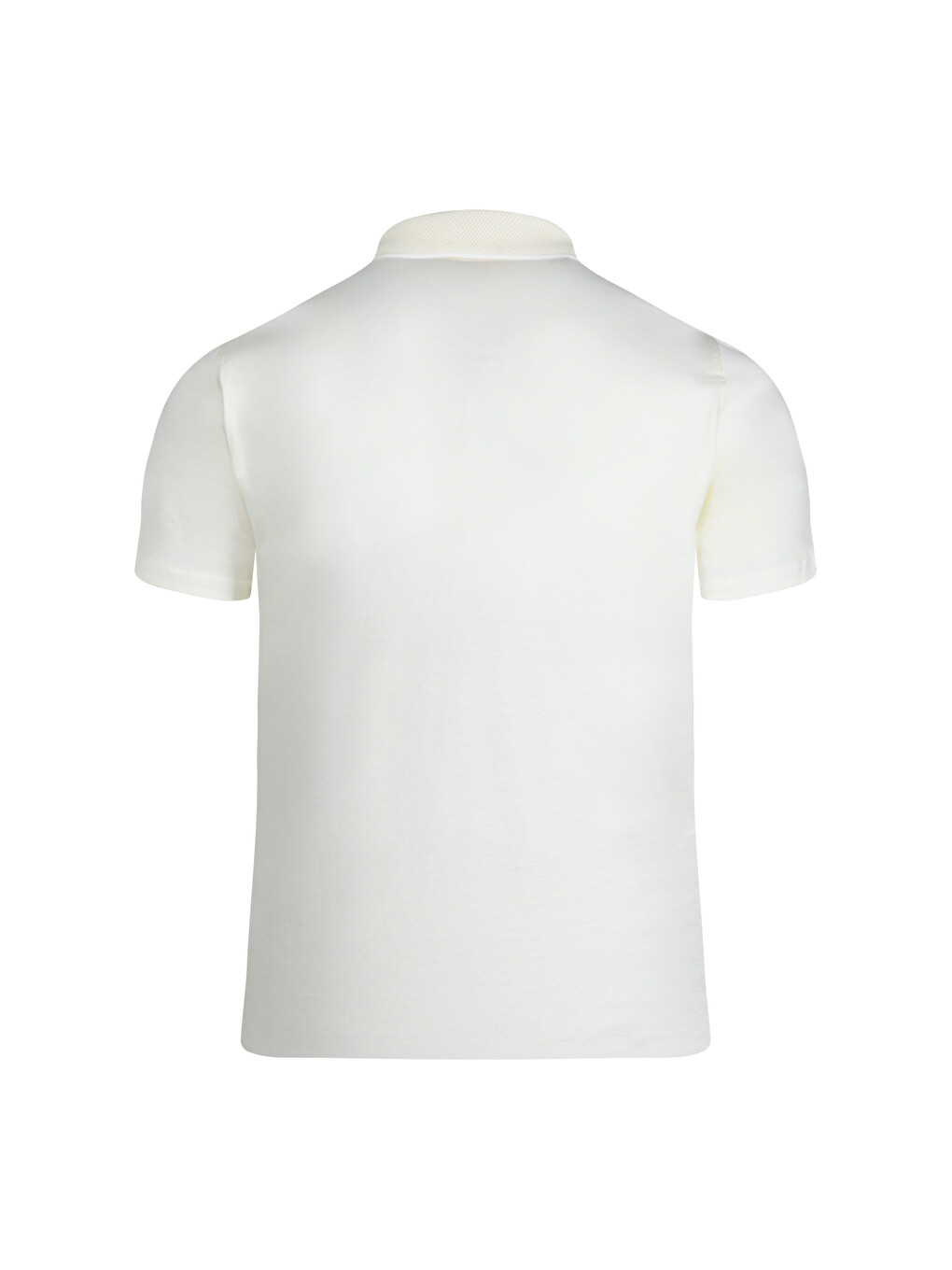 Sarı Regular Fit 100% Pamuk Polo Yaka Merserize Tişört-2