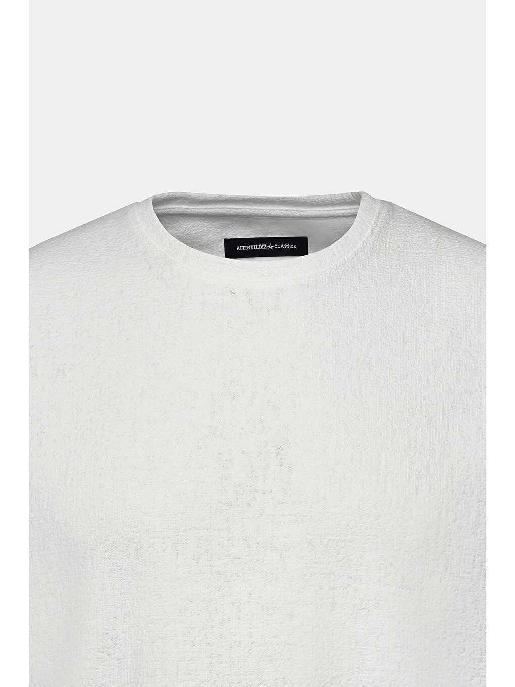 Erkek Ekru Dar Kesim Pamuklu Bisiklet Yaka Tişört-6