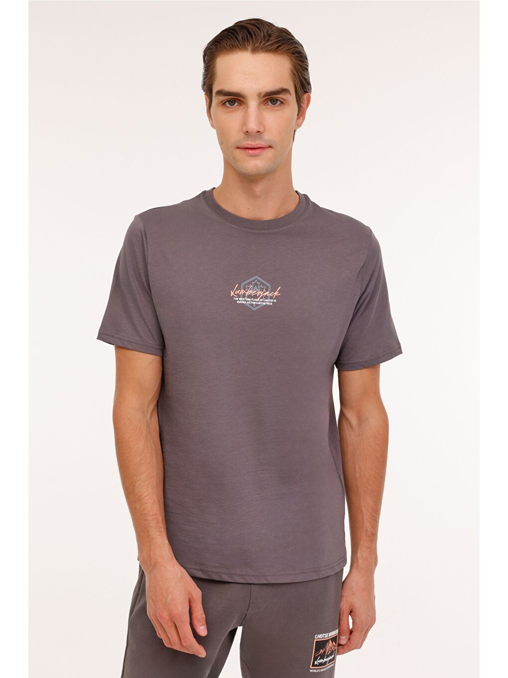 ML GREYS 11URB2027 4PR Gri Erkek Kısa Kol Tişört