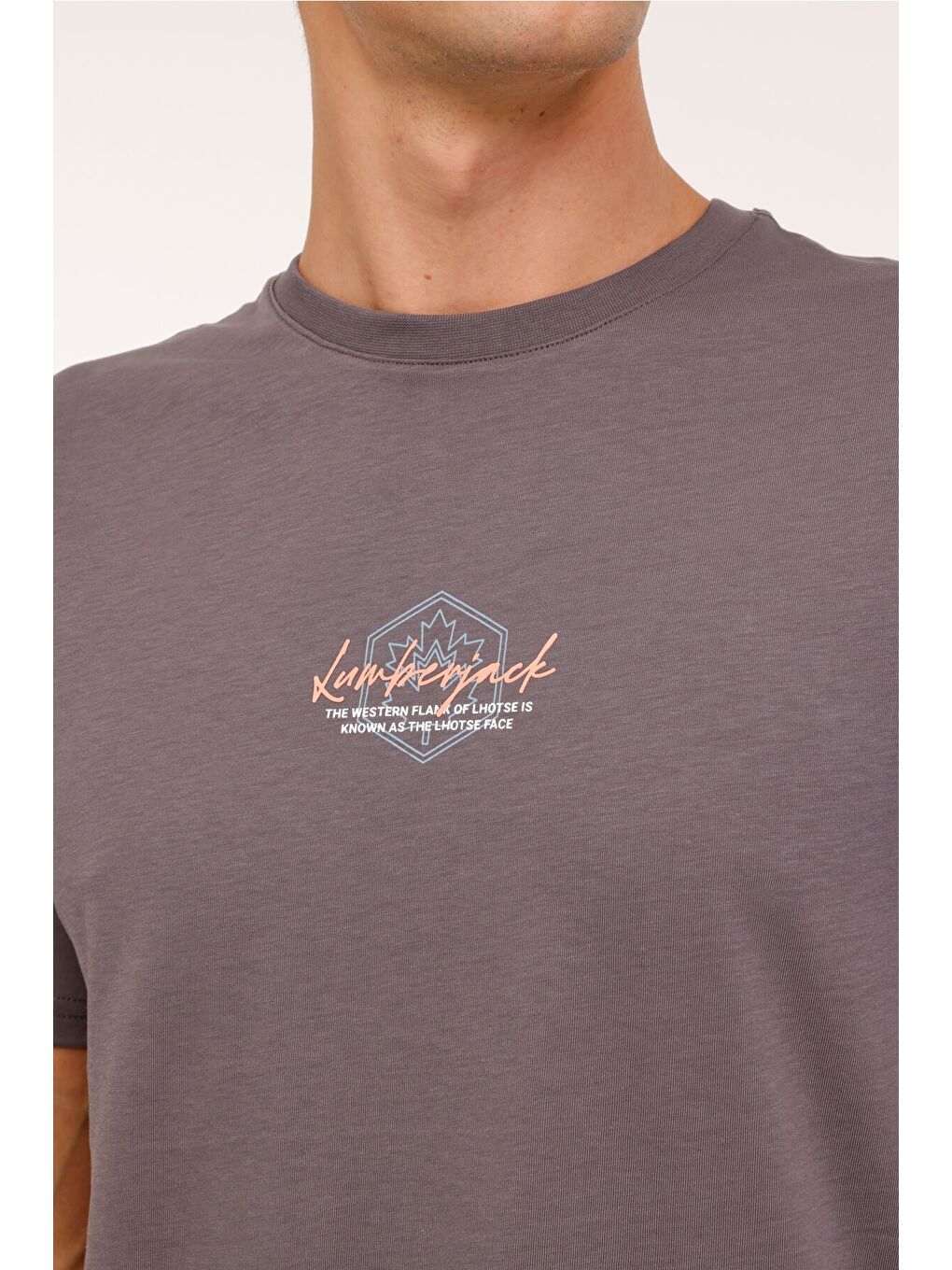 ML GREYS 11URB2027 4PR Gri Erkek Kısa Kol Tişört-3