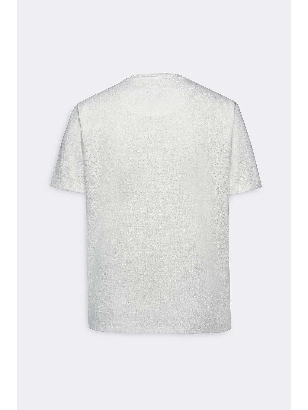 Erkek Ekru Dar Kesim Pamuklu Bisiklet Yaka Tişört-8