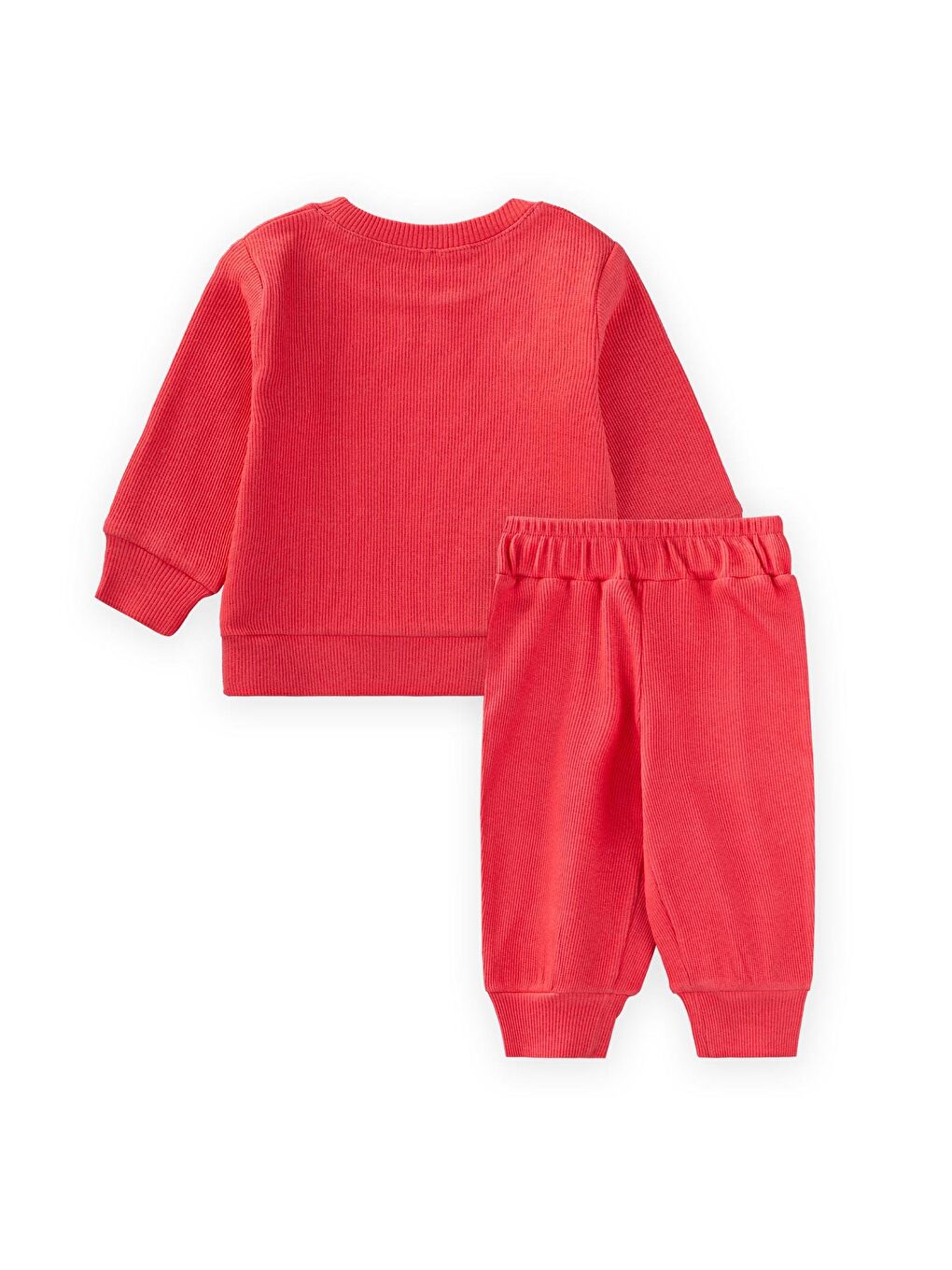 Be Cool Nakışlı Sweatshirt Takım 0-5 Yaş Mercan-1