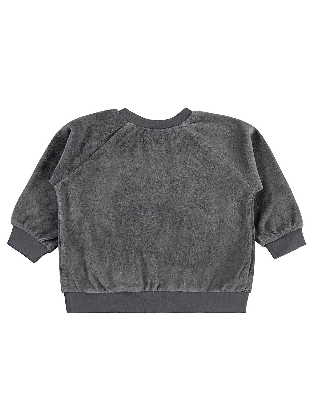 Baby Ayıcık Nakışlı 6-18 Ay Sweatshirt - Gri 18-24 Ay-1