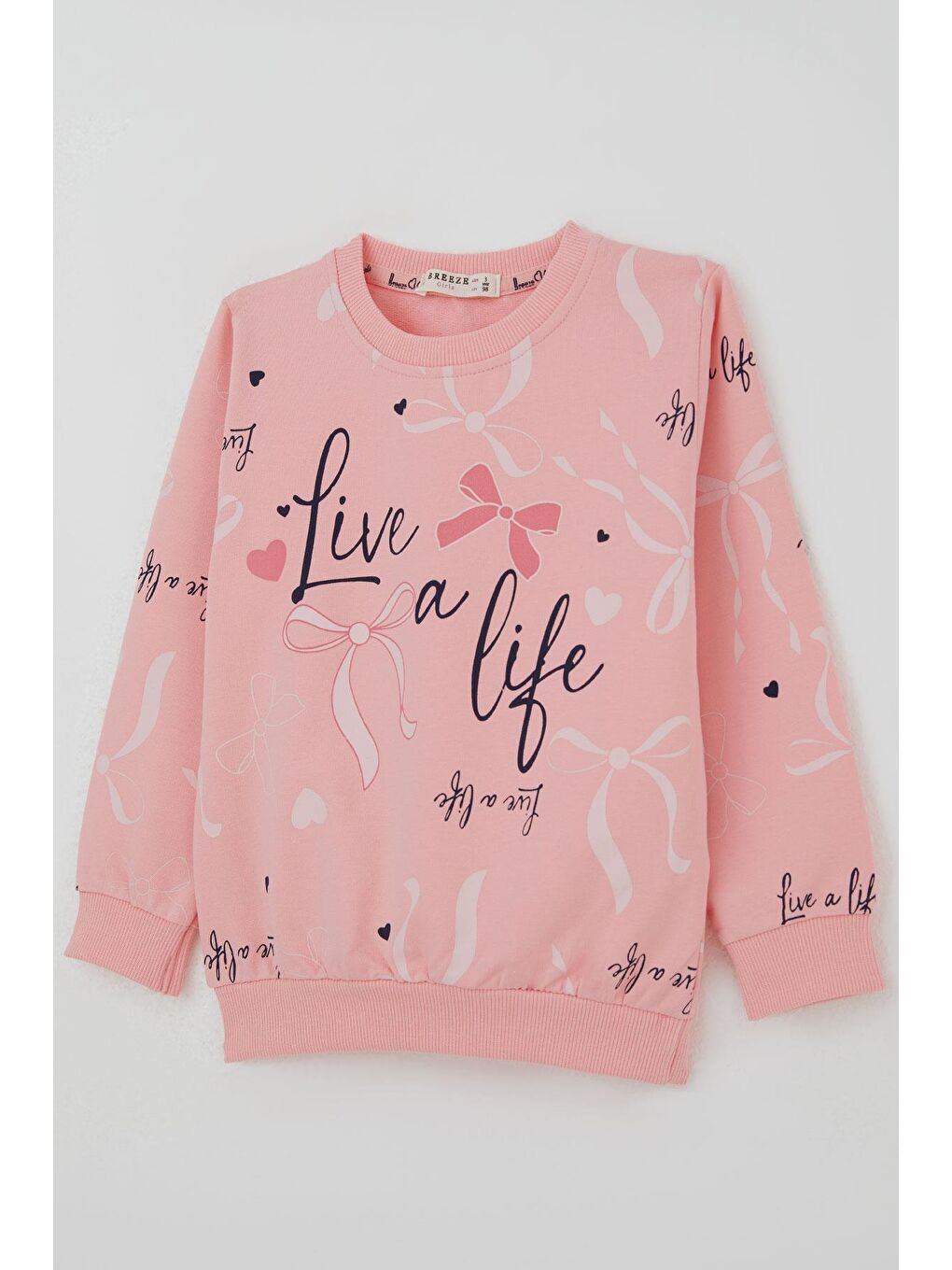 Kız Çocuk Sweatshirt Fiyonk & Kalp Baskılı Pembe (3-8 Yaş)-2
