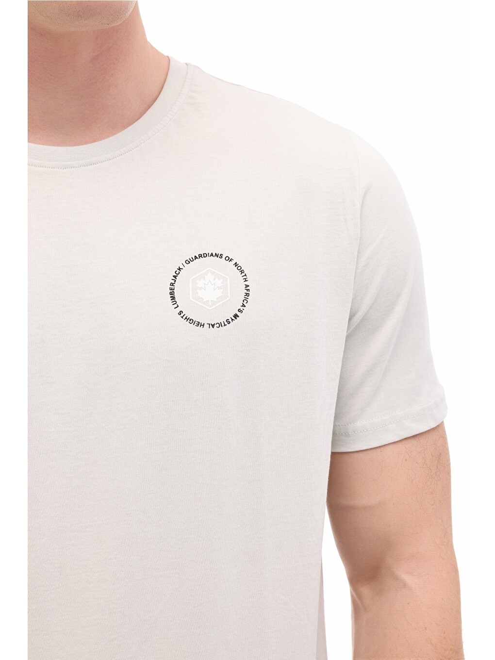 Gri Erkek Kısa Kol T-Shirt-3