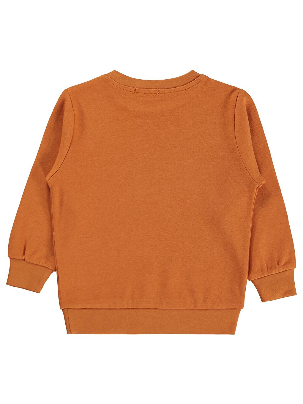 Siyah Boys Köpek Baskılı 2-5 Yaş Sweatshirt - Turuncu-1
