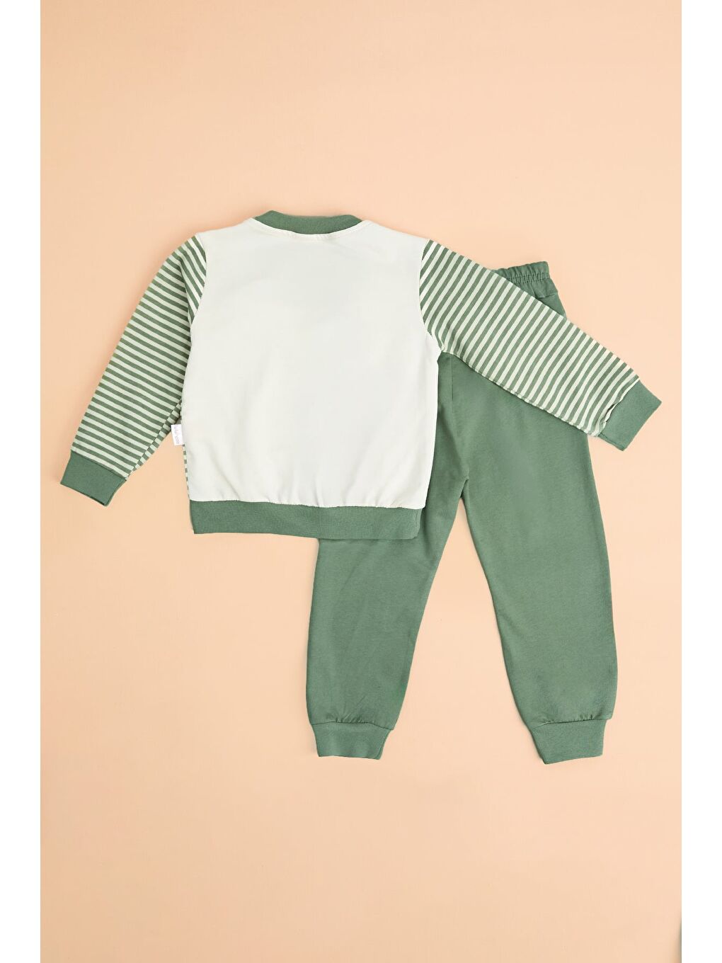 Yeşil Ayıcık Baskılı Çizgili Erkek Çocuk 2 Li Takım-1