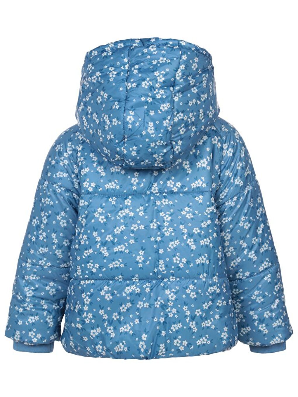 Petrol Girls 2-5 Yaş Mont - Yeşil 5-6 Yaş-1