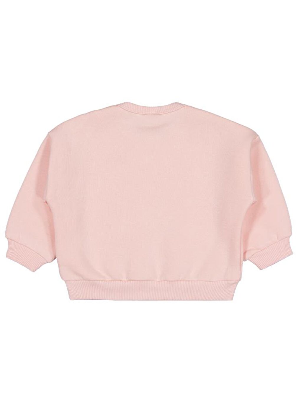 Baby Basic 6-18 Ay Sweatshirt - Pembe 6-9 Ay-1