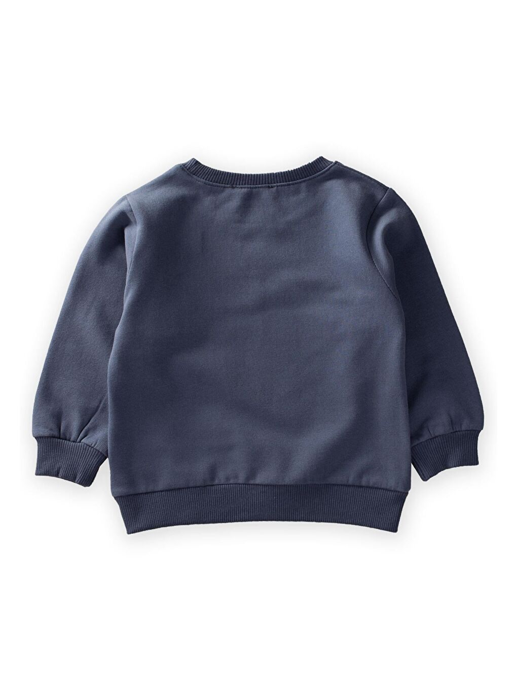 Çiçek Basdkılı Pullu Sweatshirt 1-10 Yaş Lacivert-2