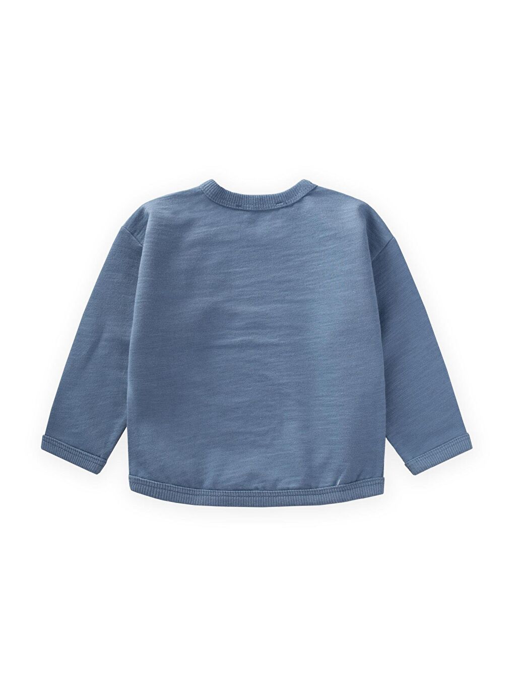 İndigo Erkek Çocuk Nakışlı Sweatshirt-1