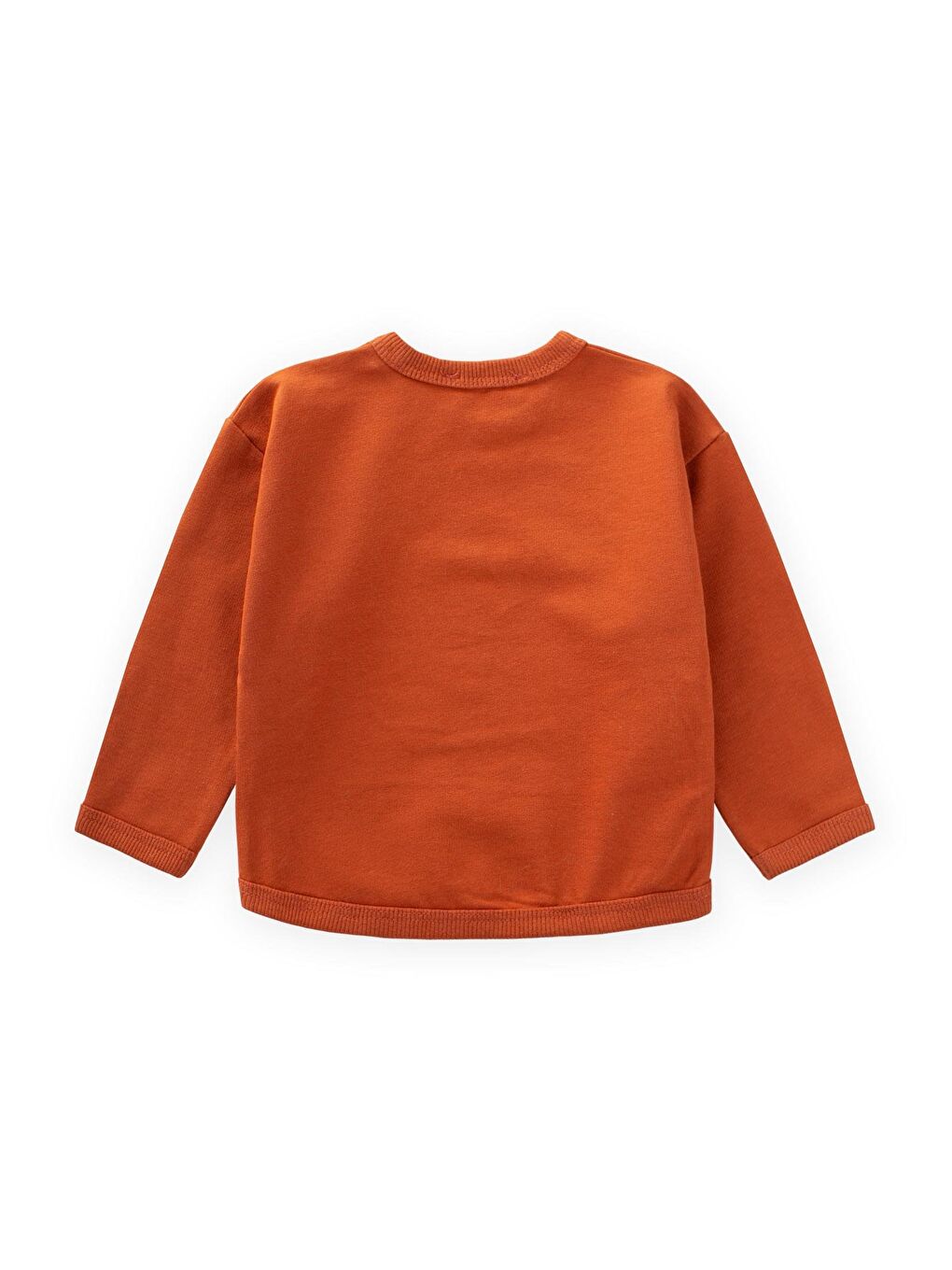 Kahverengi Erkek Çocuk Nakışlı Sweatshirt-1