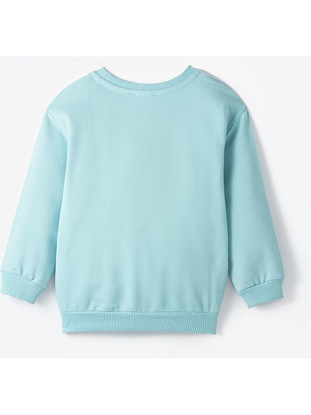 June Koyu Mint Yeşili Bebek Bon Voyage Sweatshirt - 1