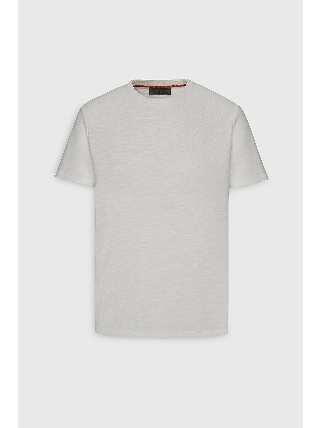 Erkek Ekru %100 Pamuk Slim Fit Dar Kesim Bisiklet Yaka Jakarlı Tişört-5