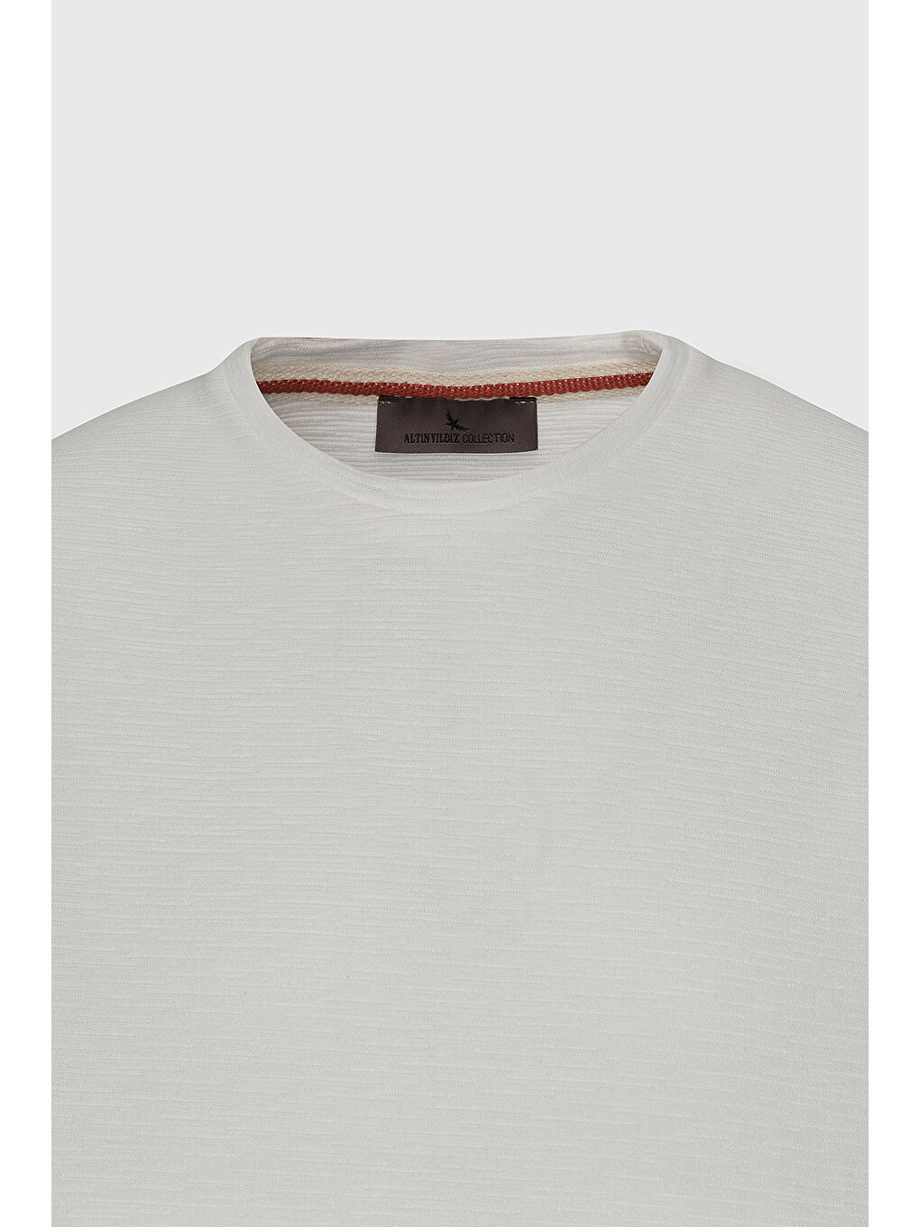 Erkek Ekru %100 Pamuk Slim Fit Dar Kesim Bisiklet Yaka Jakarlı Tişört-6