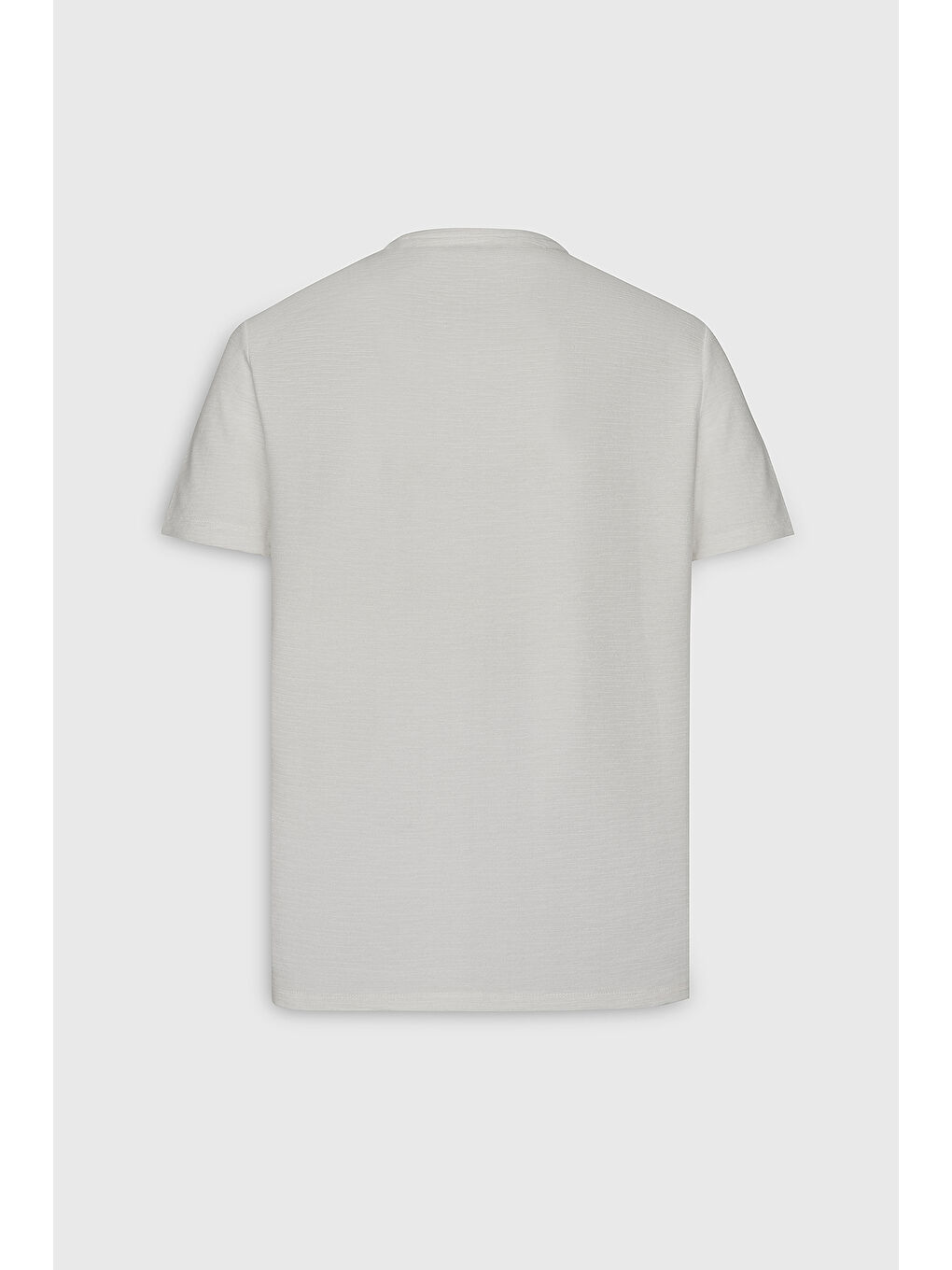 Erkek Ekru %100 Pamuk Slim Fit Dar Kesim Bisiklet Yaka Jakarlı Tişört-8