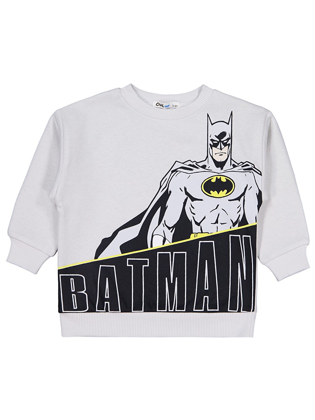 Baskılı 2-5 Yaş Sweatshirt - Gri