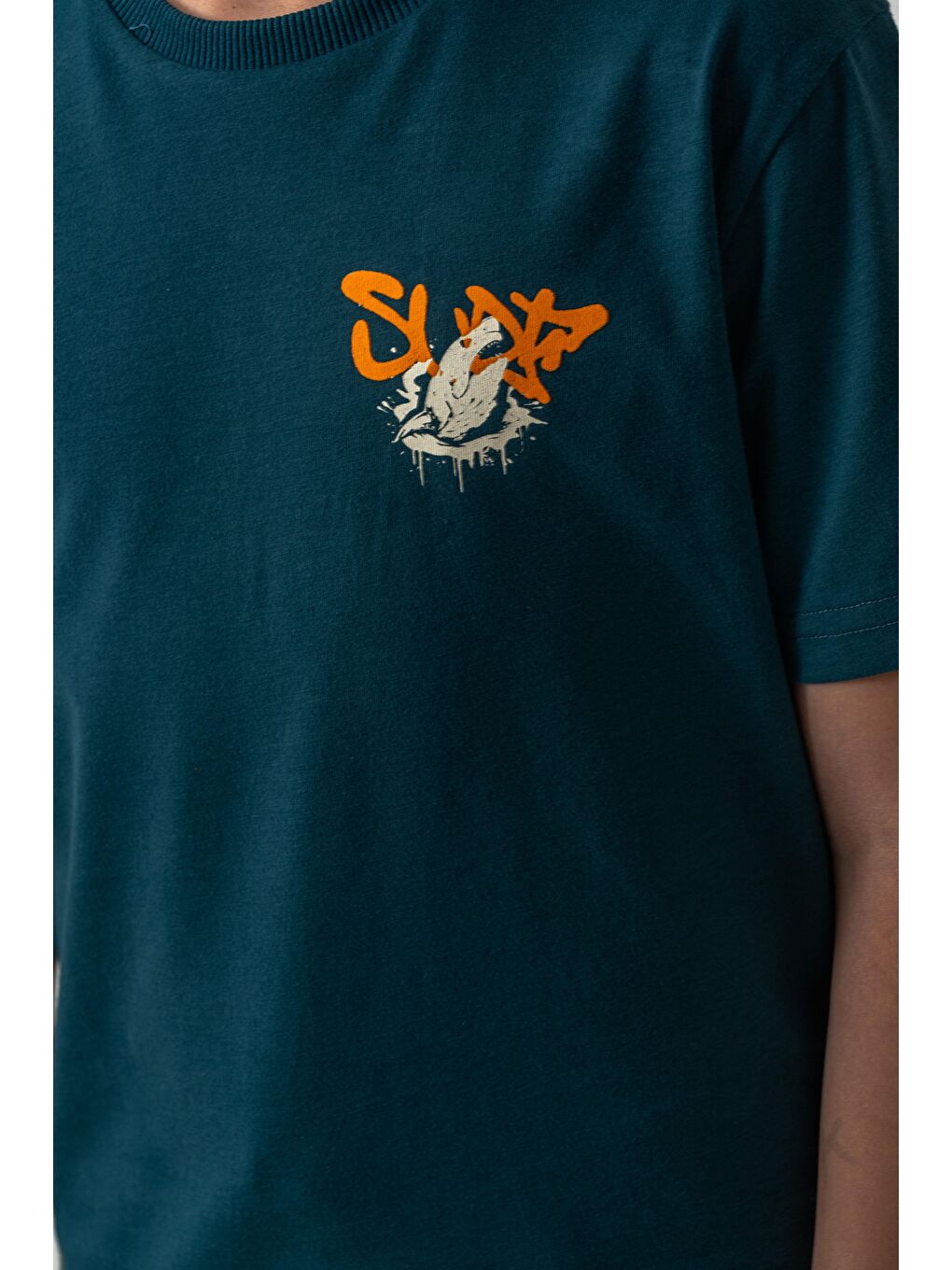 Yeşil Ust On Ve Arka Baskılı Erkek Çocuk Şort - Tişört Takımı-4