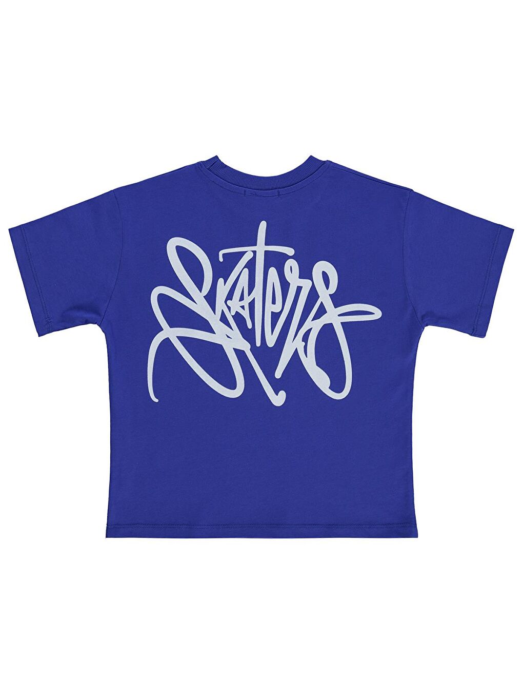 Boys Skaters Baskılı 6-9 Yaş Tişört - Mavi-1
