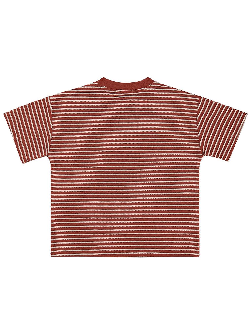 Kahverengi Boys Kabartma Çizgili 2-5 Yaş Tişört - Turuncu-1