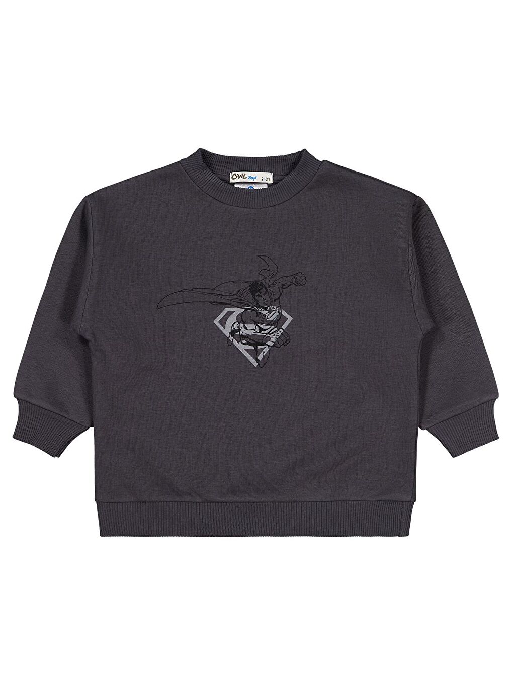 Antrasit Logo Baskılı 2-5 Yaş Sweatshirt - Gri