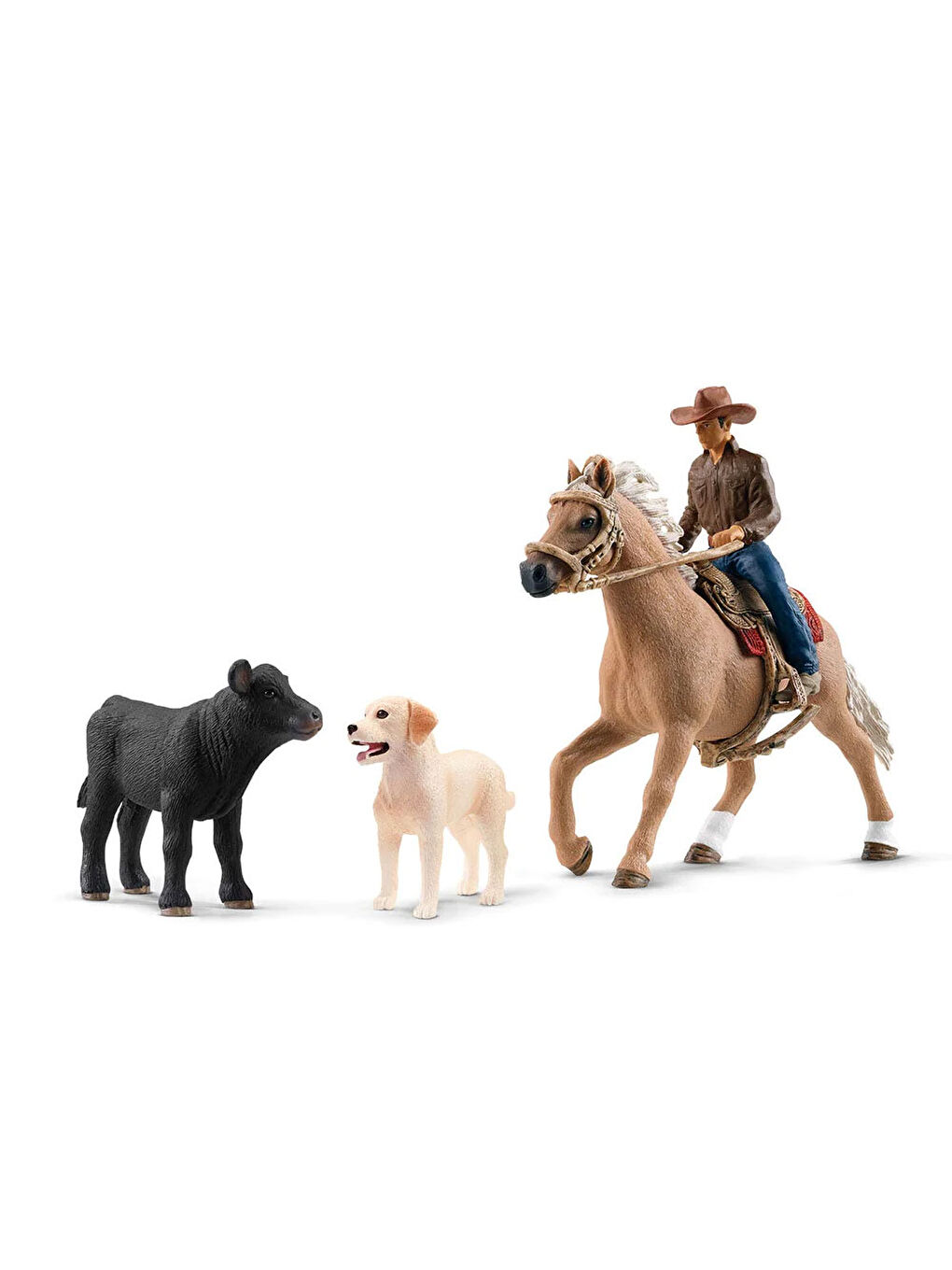 At Biniş Macerası 42578-2