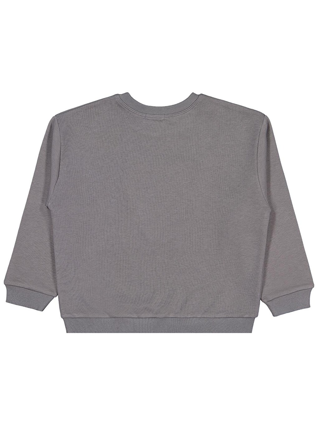 Boys Aslan Nakışlı 6-9 Yaş Sweatshirt - Gri-2
