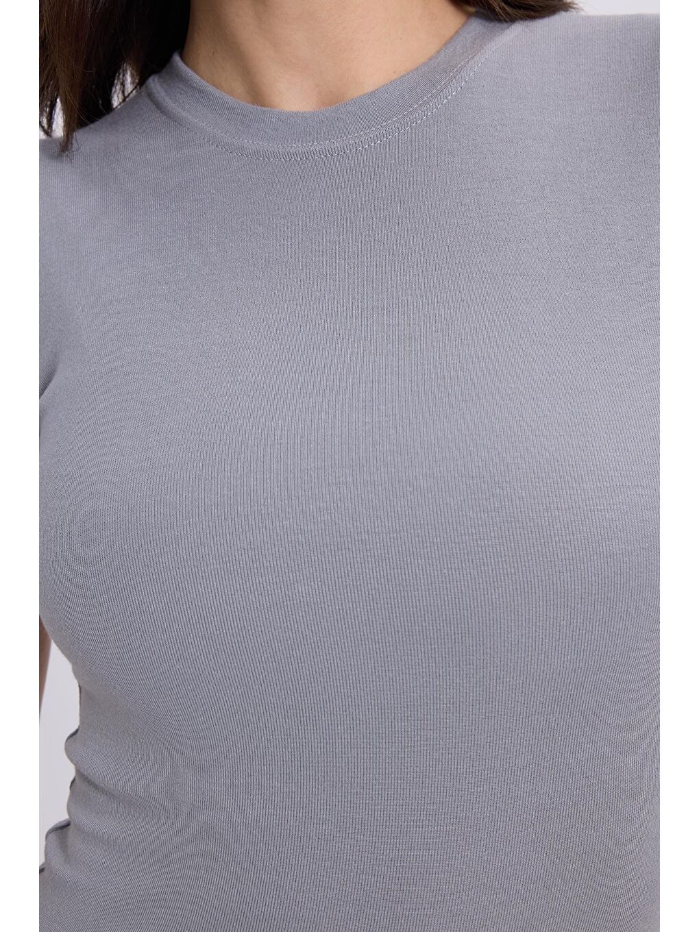 Kadın Regular Fit Klasik Kesim Bisiklet Yaka Viskon Kumaş Ultra Soft Gri Tişört-2
