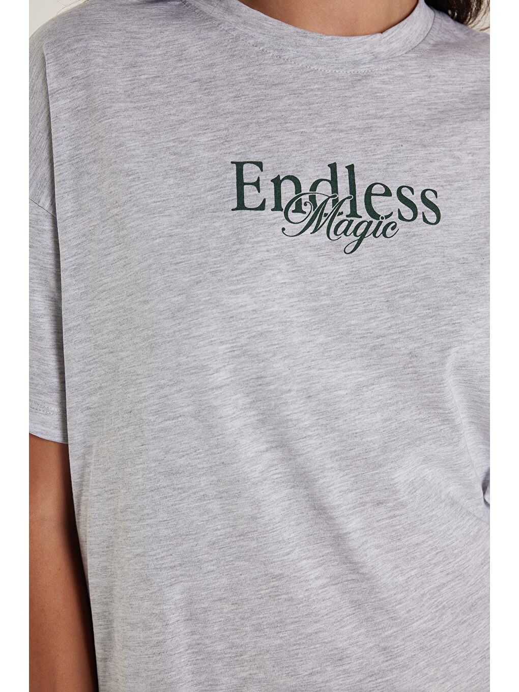 Kadın Regular Fit Klasik Kesim Kısa Kollu Bisiklet Yaka Baskılı Gri Tişört-2