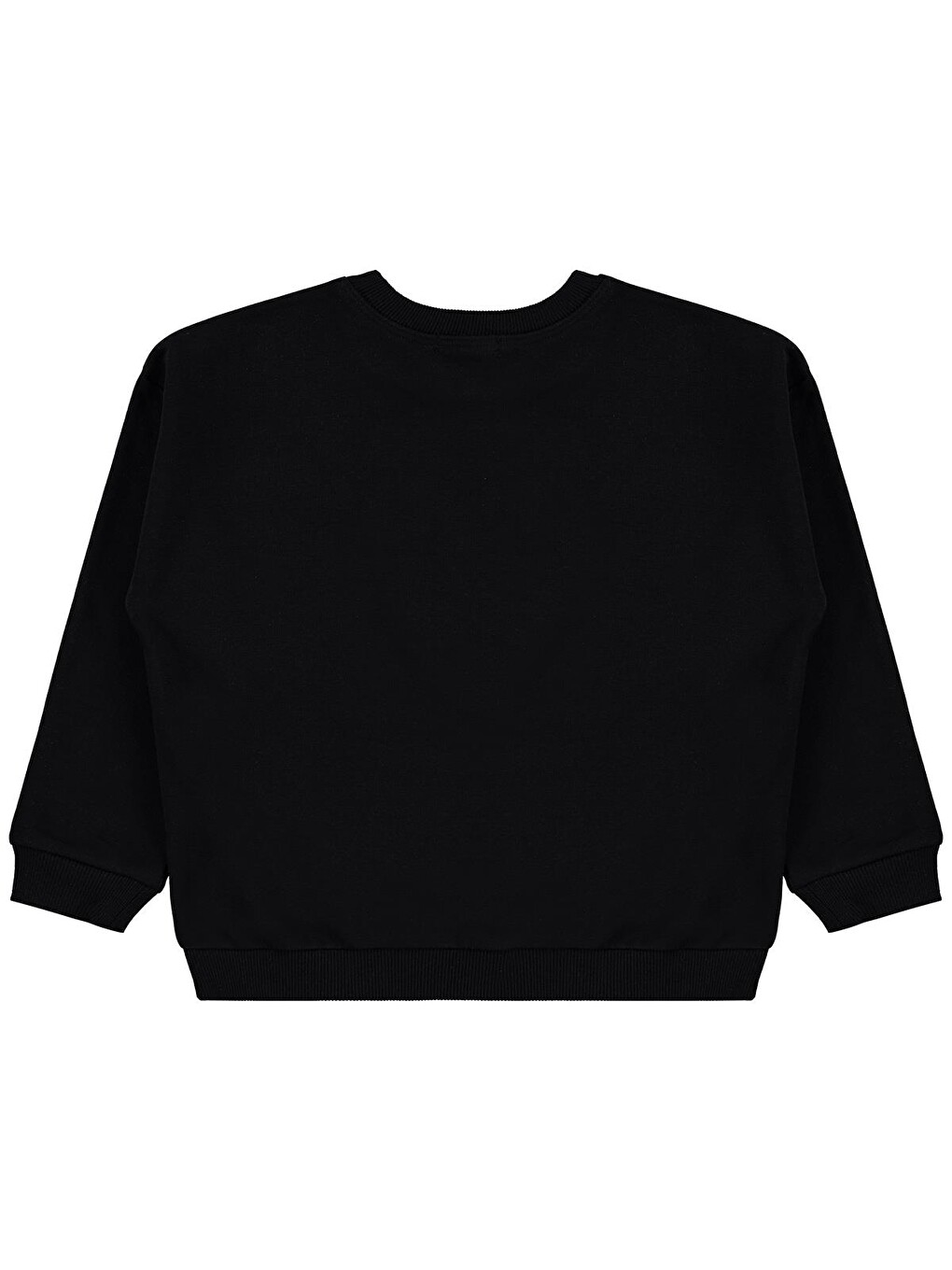 Boys Aslan Nakışlı 6-9 Yaş Sweatshirt - Siyah-1