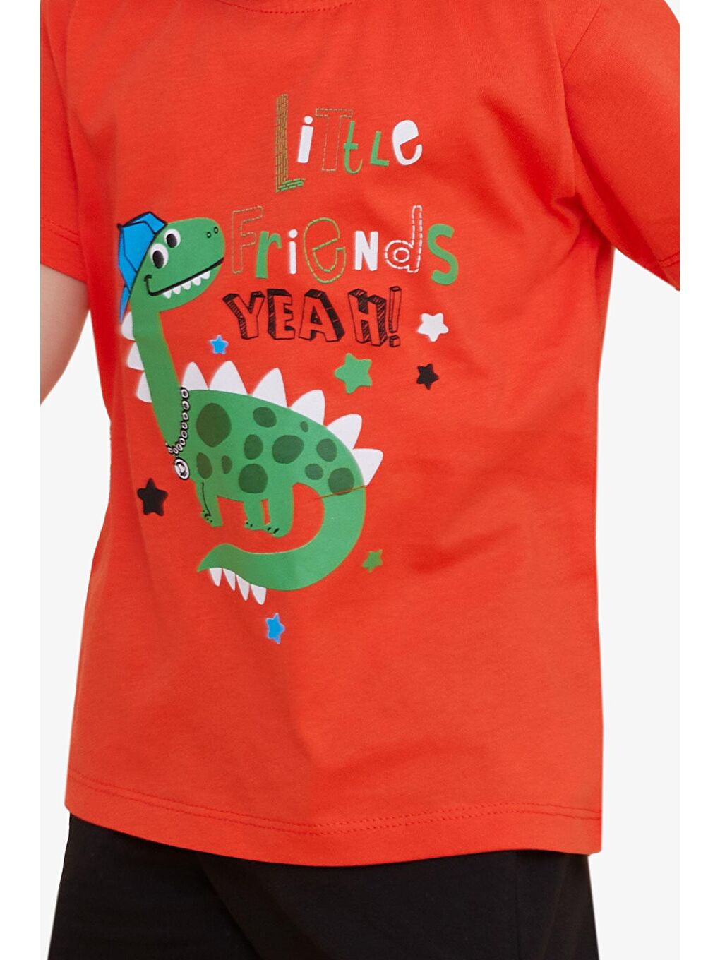 Erkek Çocuk Tişört Rapçi Dinozor Baskılı Turuncu (2-6 Yaş)-5