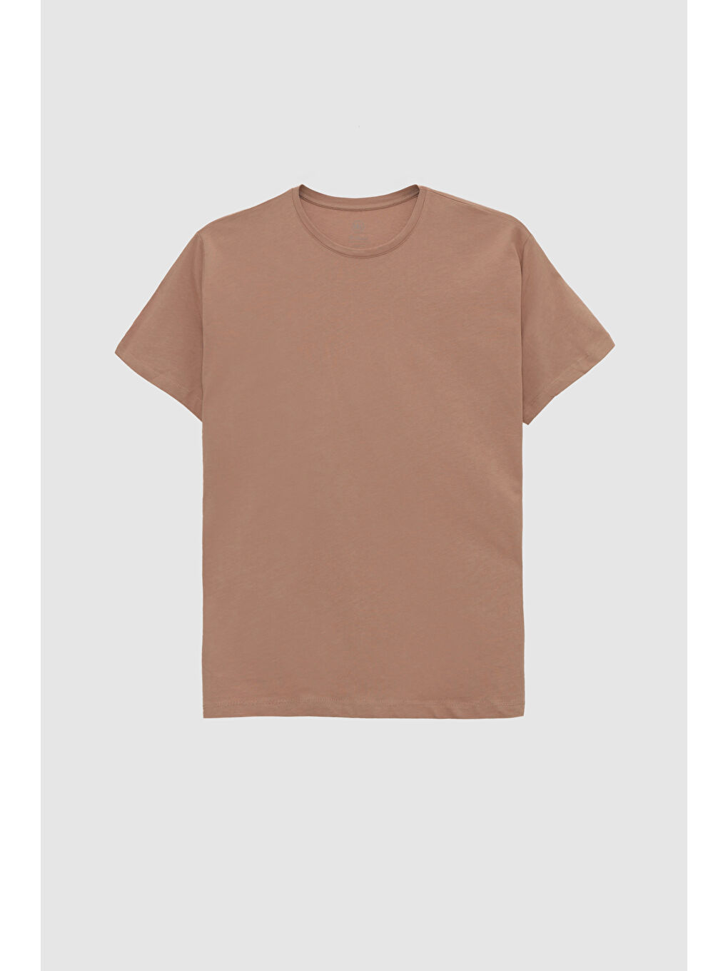 Bej Slim Fit Vizon Bisiklet Yaka %100 Pamuklu Nefes Alabilen Tişört-4