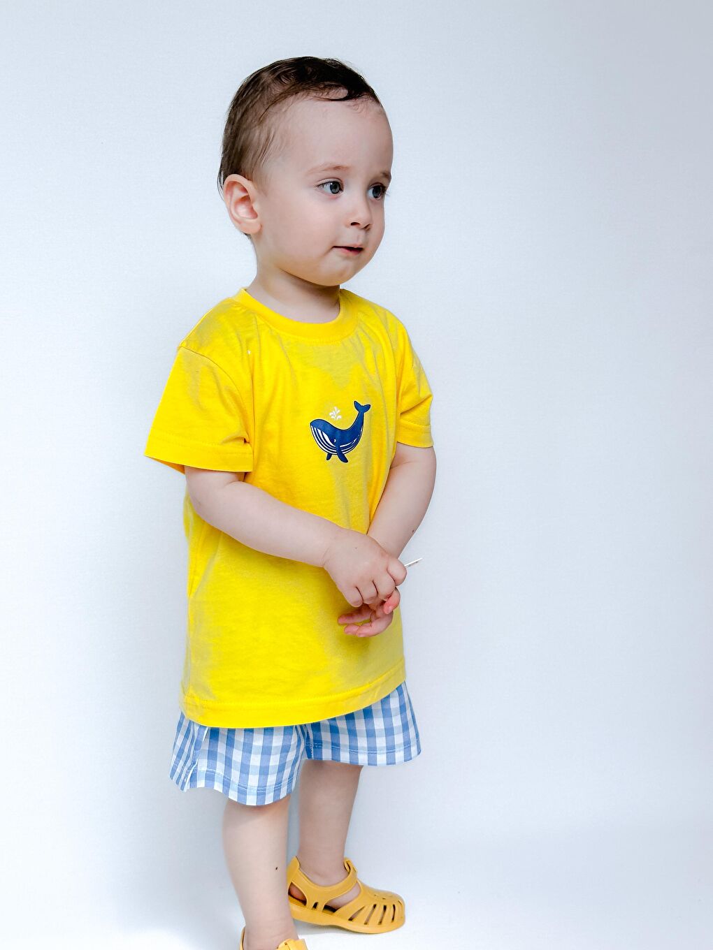 Sarı Balina Takım-1