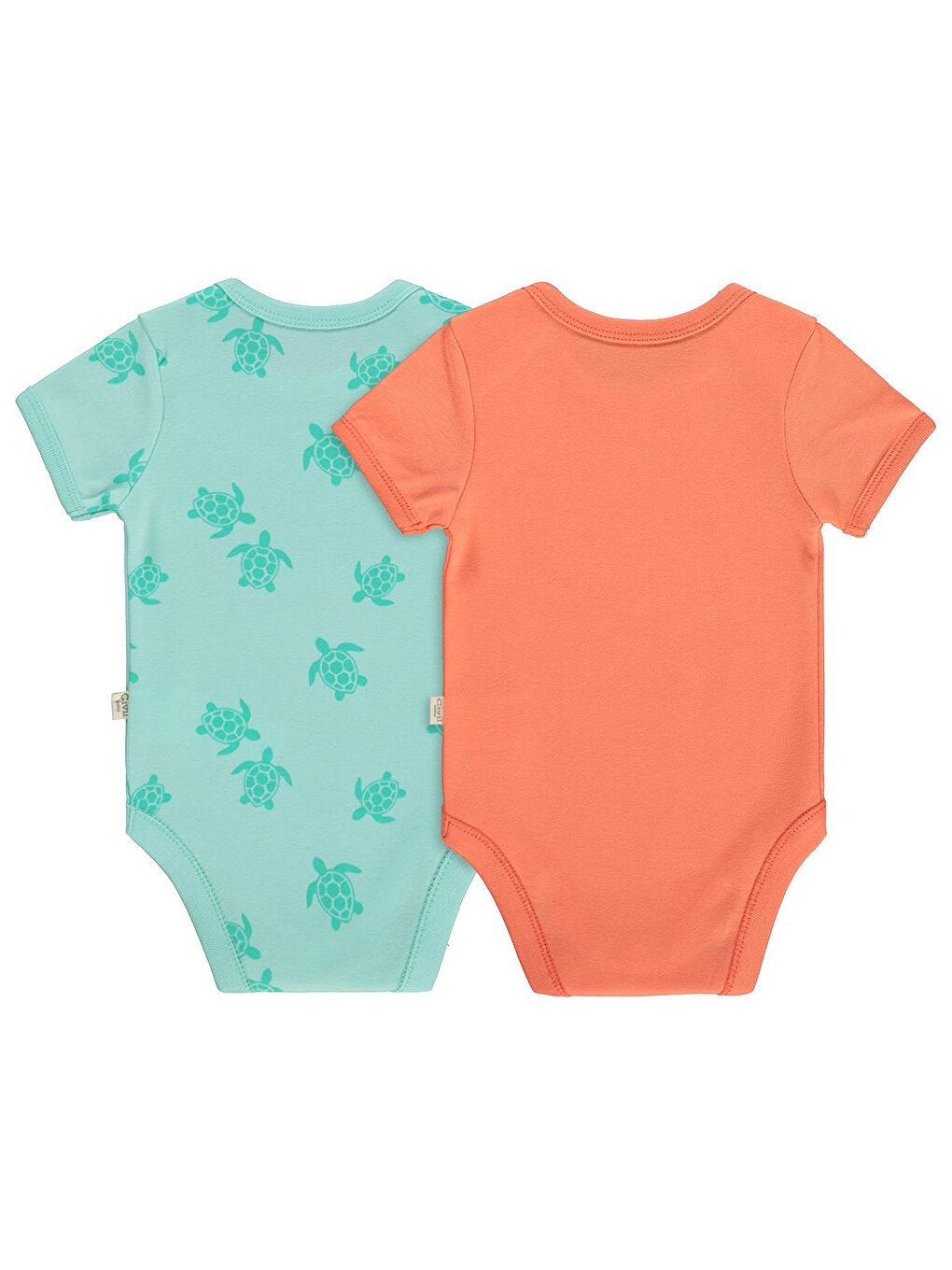 Baby Kaplumbağa Baskılı 2'li Set 3-18 Ay Çıtçıtlı Badi - Mercan-Mint-5