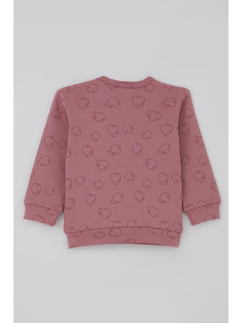 Pembe Kız Bebek Pijama Takımı Omuzdan Patlı Elma Bahçesi Gülkurusu (4 Ay-1 Yaş)-3