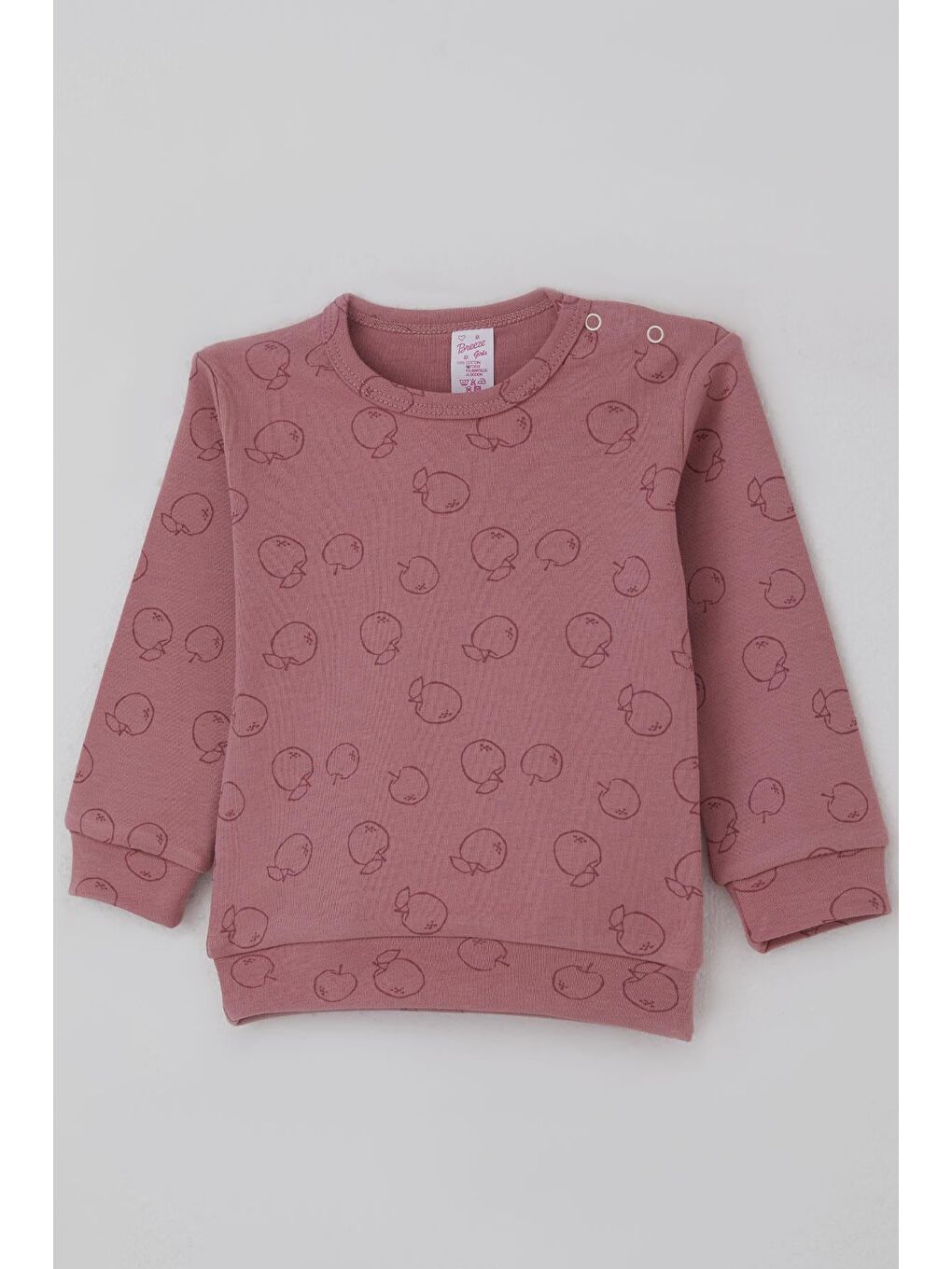 Pembe Kız Bebek Pijama Takımı Omuzdan Patlı Elma Bahçesi Gülkurusu (4 Ay-1 Yaş)-5