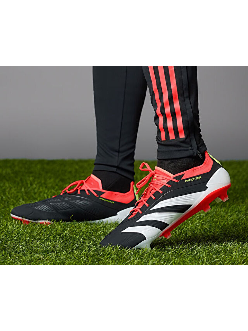 Predatör Elite Fg Unisex Çim Zemin Kramponu Ie1802 Siyah-1