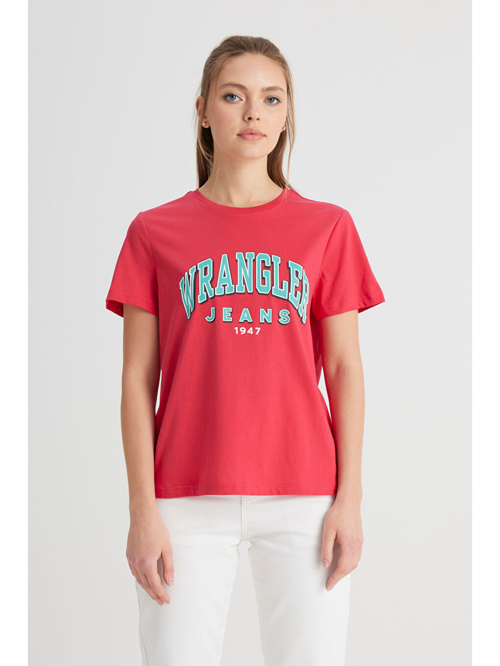 Regular Fit Normal Kesim Bisiklet Yaka %100 Pamuk Pembe Tişört-3