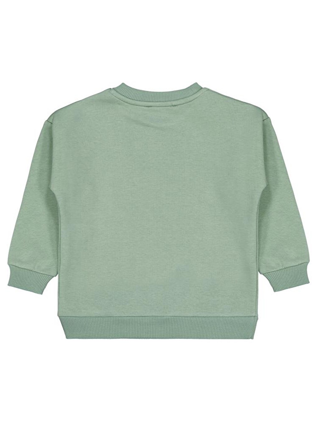 Yeşil Girls Lest Grow Together Baskılı 2-5 Yaş Sweatshirt