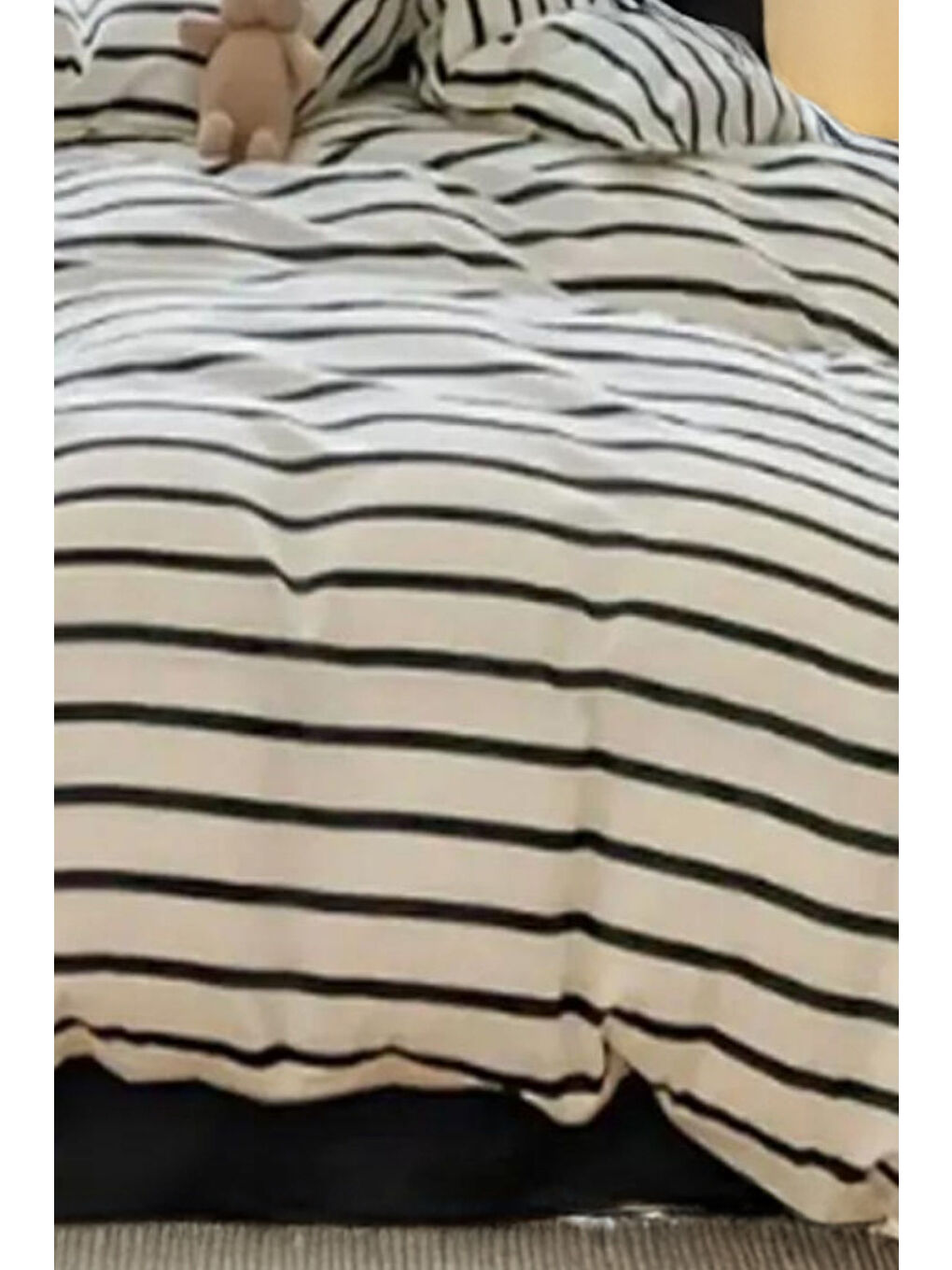 Kahverengi Kolay Ütülenir Nevresim Takımı Tek Kişilik Funny Kahve-1