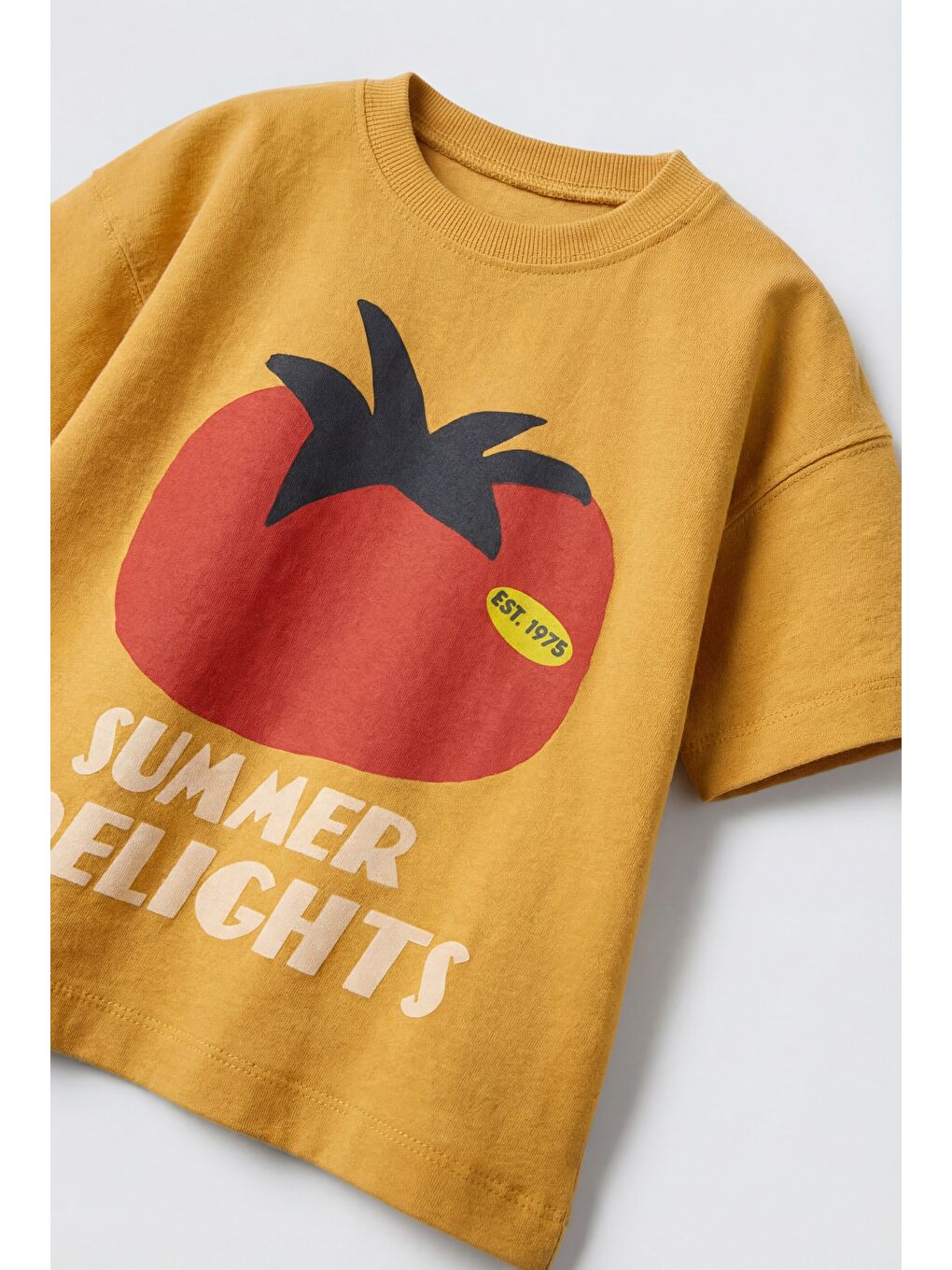 Sarı Unisex Çocuk Pamuklu Hardal Domates Baskılı T-Shirt Takım-3