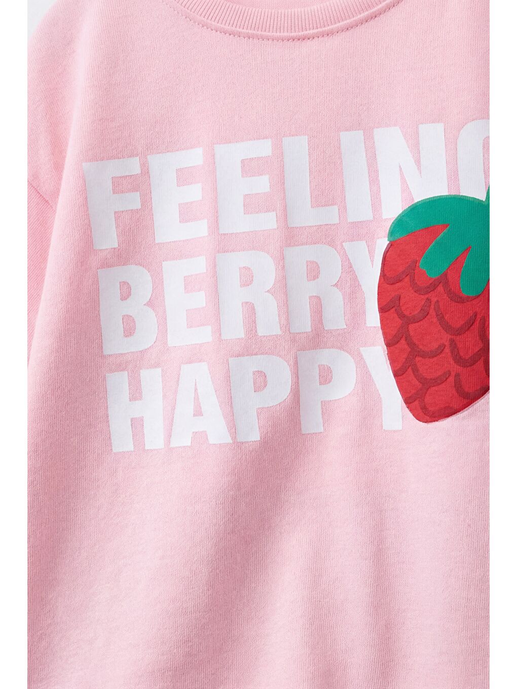 Kız Çocuk Pamuklu Pembe Çilek Baskılı T-Shirt Eşofman Takım-4