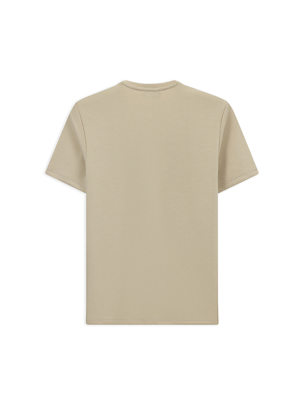 Bej Bisiklet Yaka Regular Fit Nakışlı Elastanlı Esnek Tişört-1